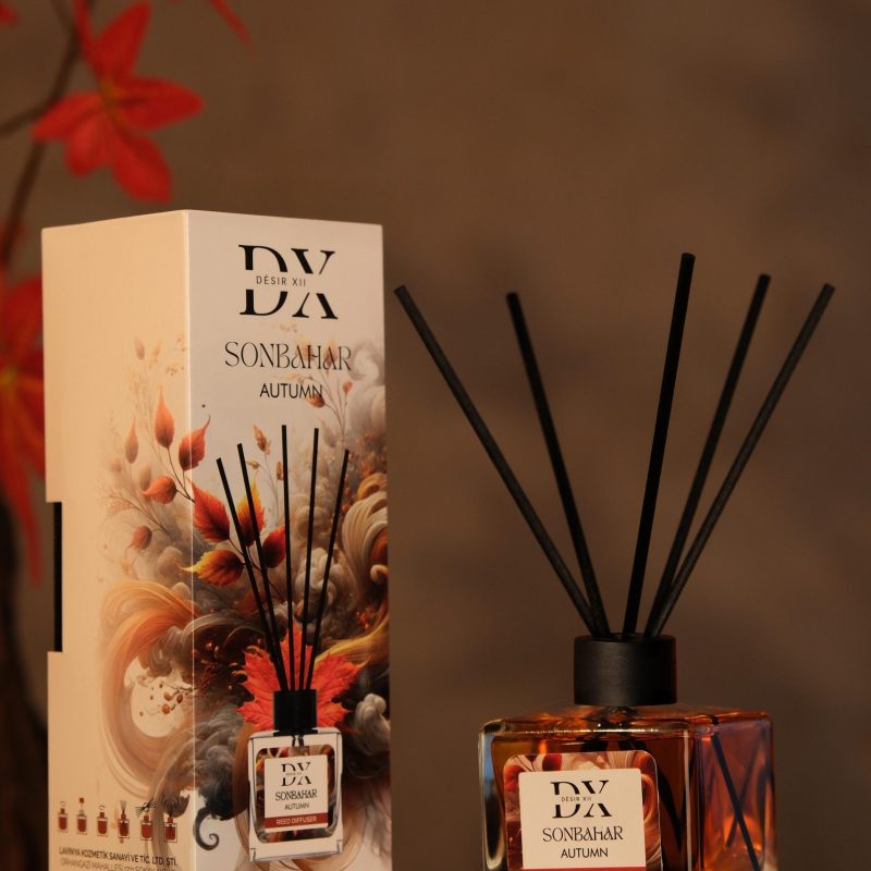 SONBAHAR ETKİLİ ORTAM KOKUSU 110 ML