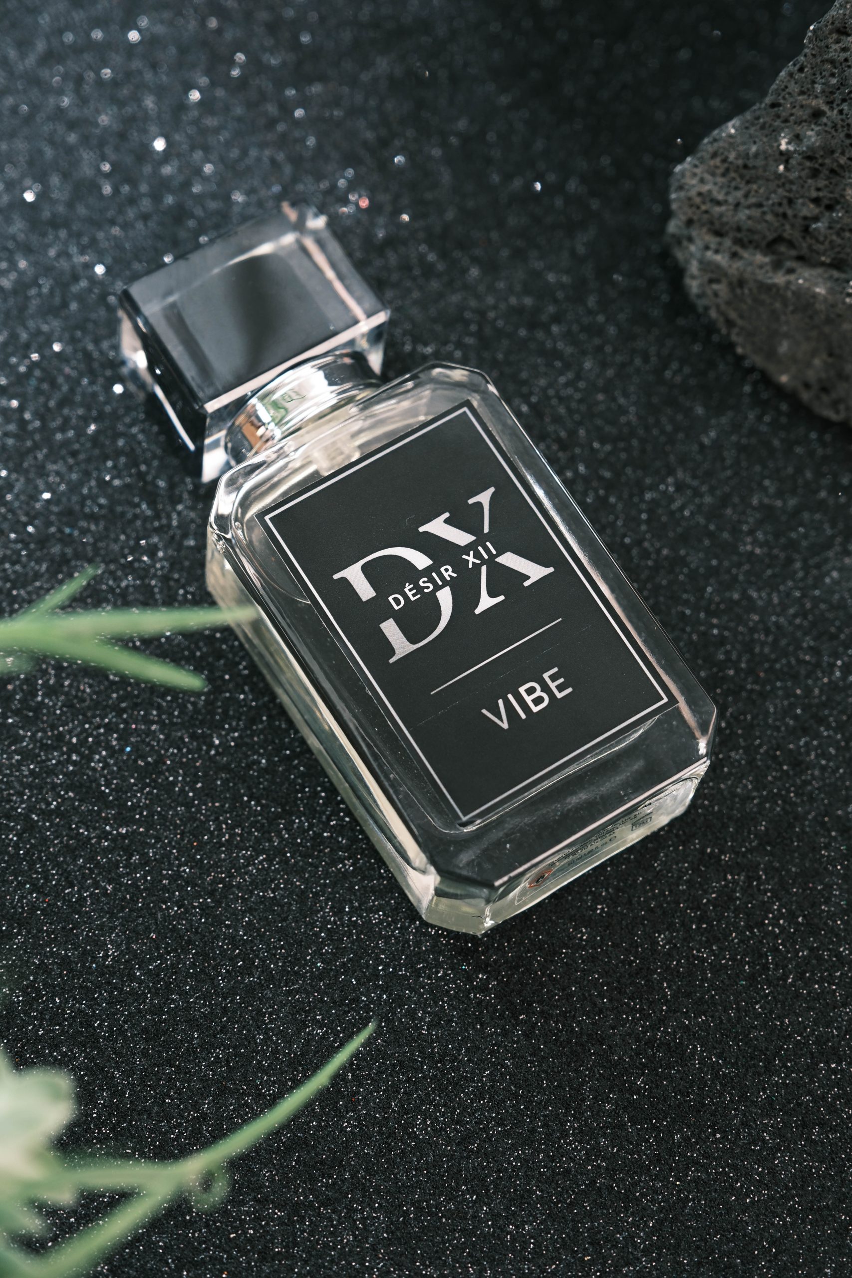 DESIR XII VIBE Erkek Edp Parfüm 50 ML